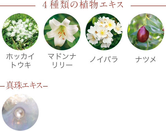 4種類の植物エキス | ホッカイトウキ | マドンナリリー | ノイバラ | ナツメ | 真珠エキス