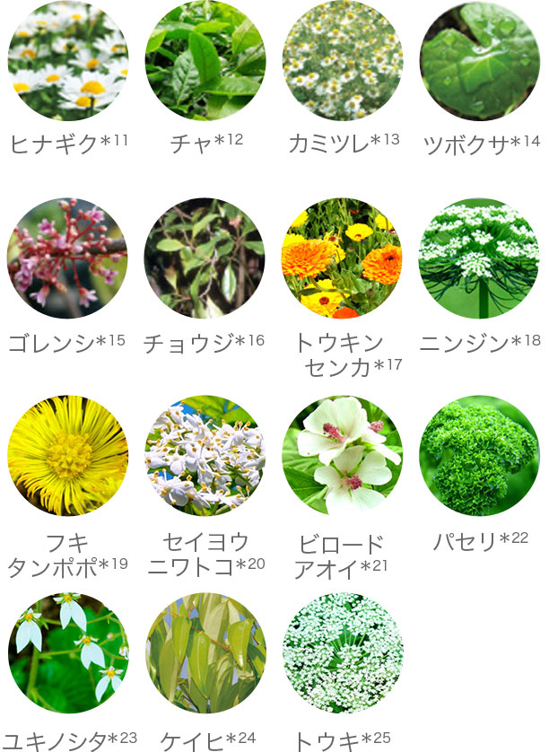 植物の図