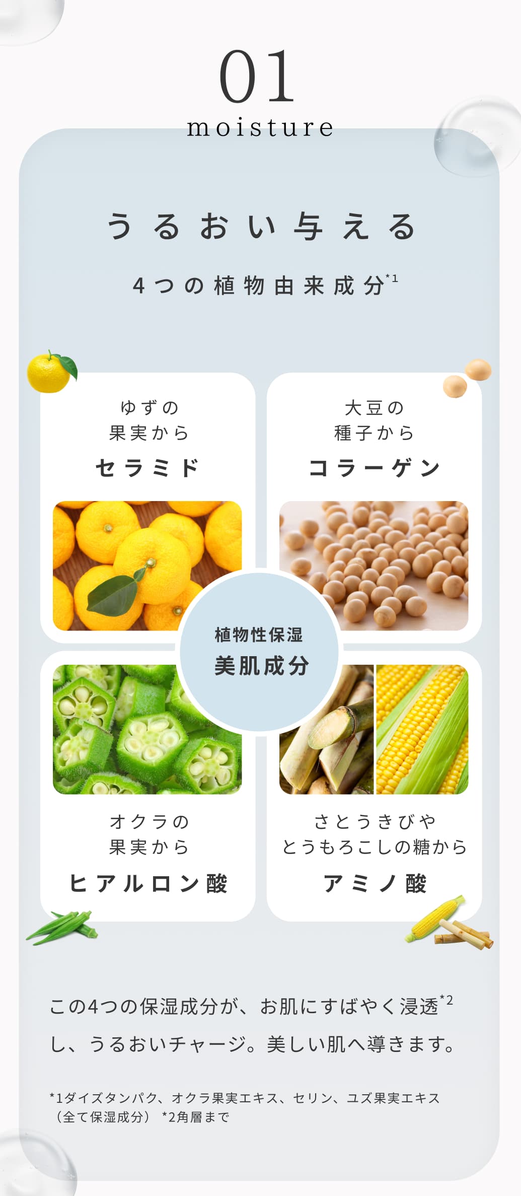 01 moisture うるおい与える4つの植物由来成分。ゆずの果実からセラミド。大豆の種子からコラーゲン。オクラの果実からオクラの果実から。さとうきびやとうもろこしの糖からアミノ酸。