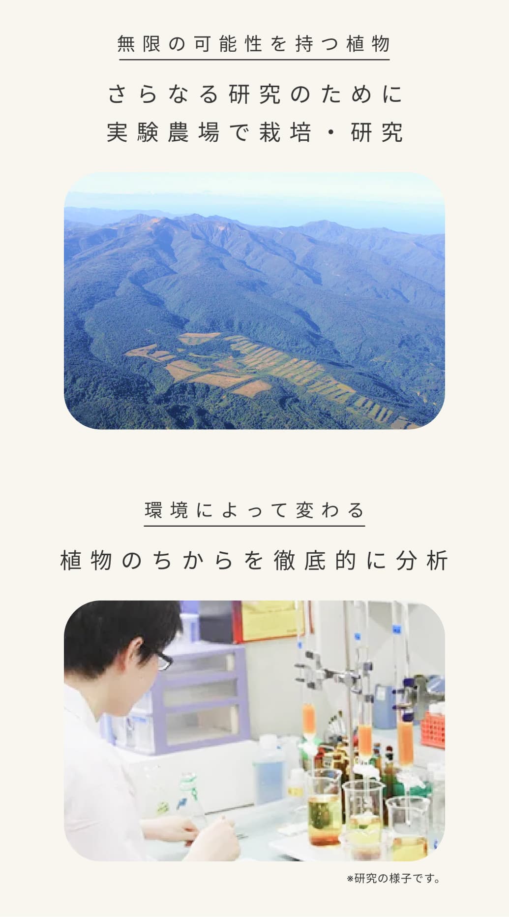 無限の可能性を持つ植物。さらなる研究のために実験農場で栽培・研究。環境によって変わる。植物のちからを徹底的に分析