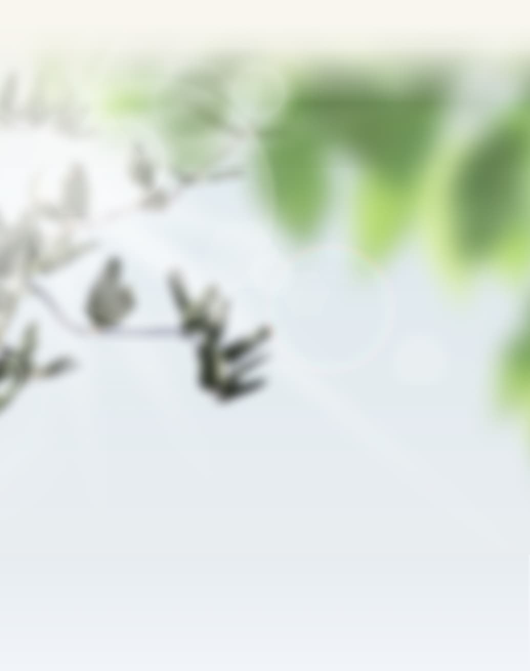 乾燥肌さんも。オイリー肌さんも。あかぬけ素肌デビュー。NOEVIR80。