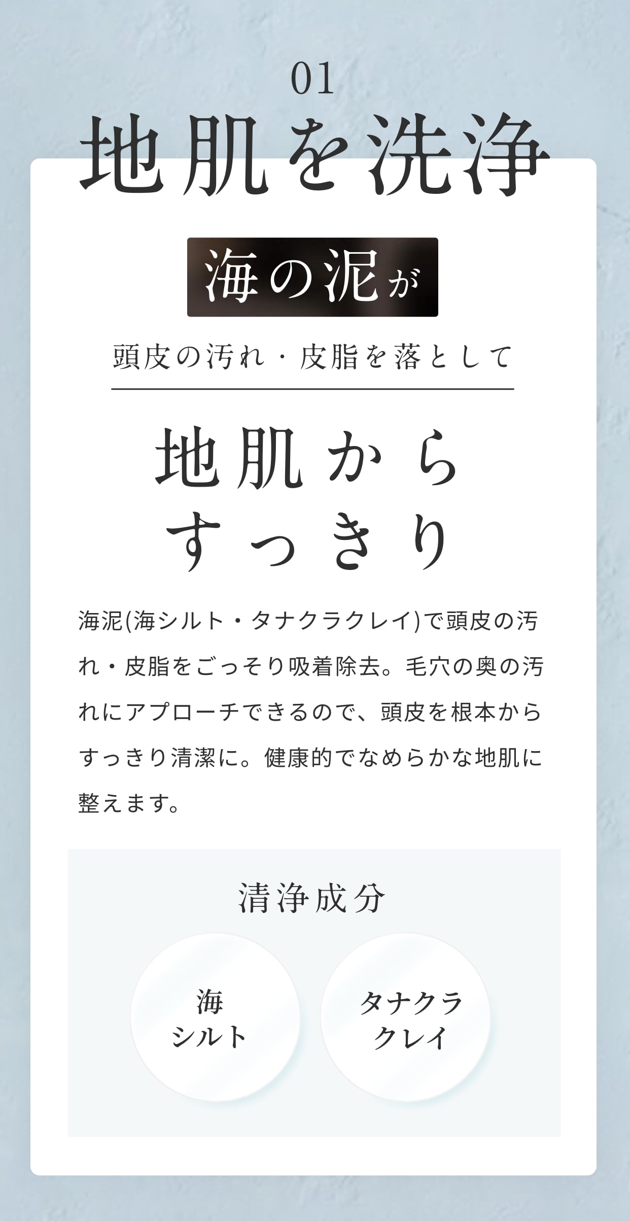 地肌を洗浄｜海の泥が頭皮の汚れ・皮脂を落として地肌からすっきり