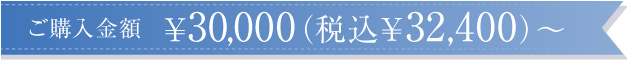 ご購入金額\30,000~
