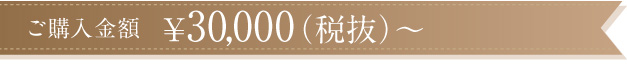 ご購入金額\30,000~