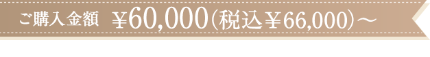 ご購入金額¥60,000(税込¥66,000)〜