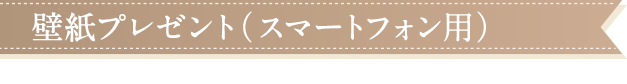 壁紙プレゼント(スマートフォン用)