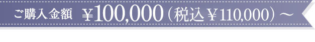 ご購入金額￥100,000（税込￥110,000）〜