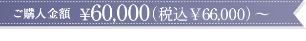 ご購入金額¥60,000(税込¥66,000)〜