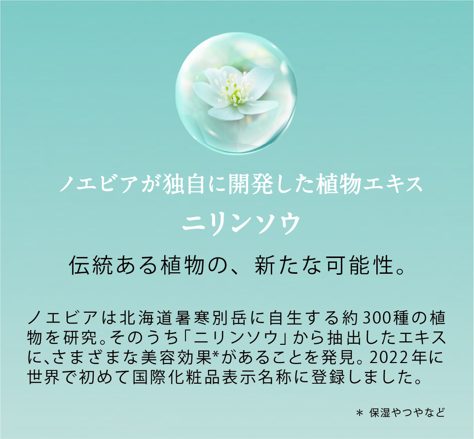 ニリンソウ
