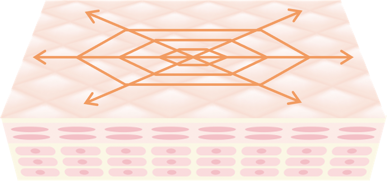 お肌表面のイメージ